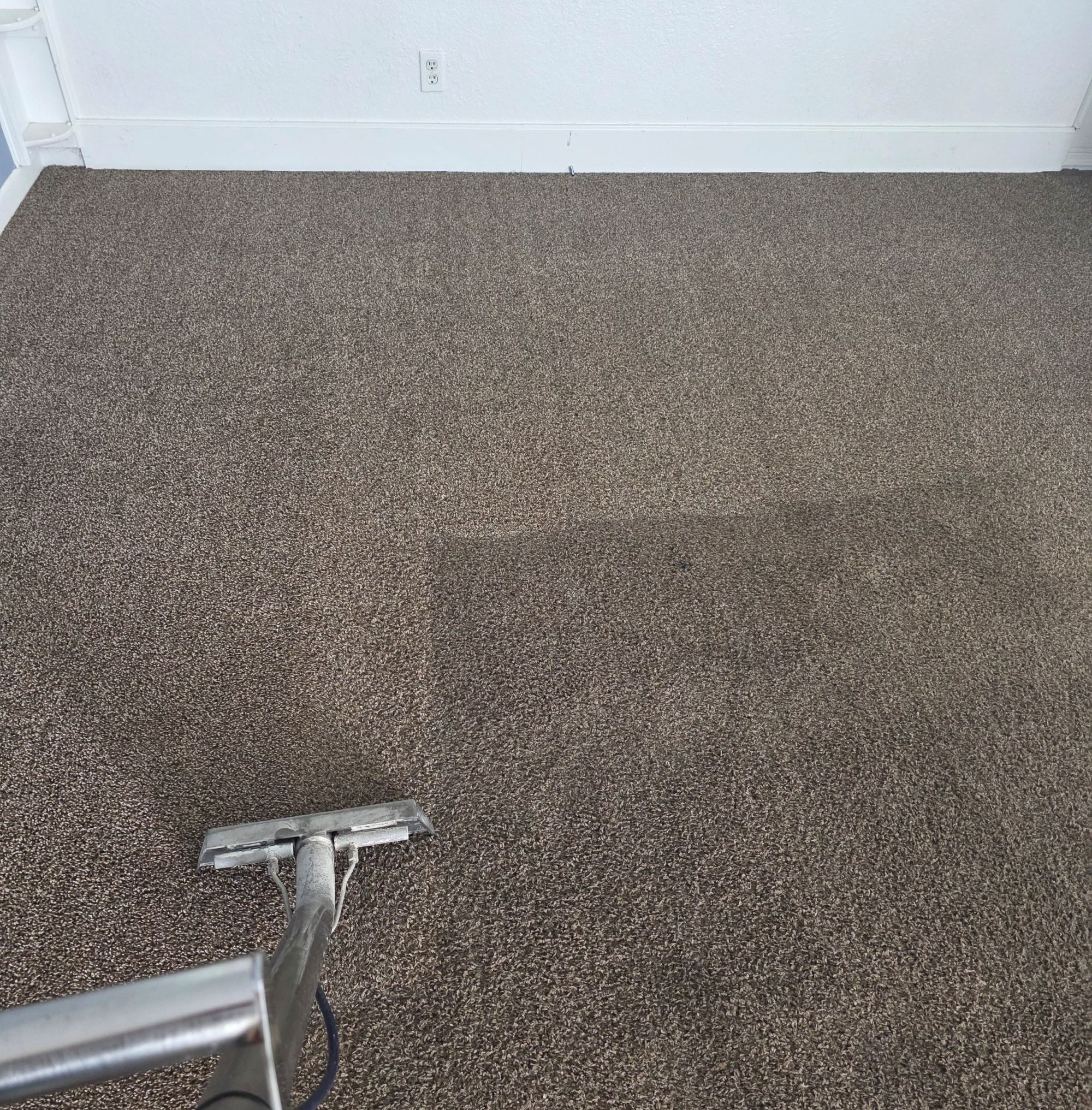 Carpet Cleaning