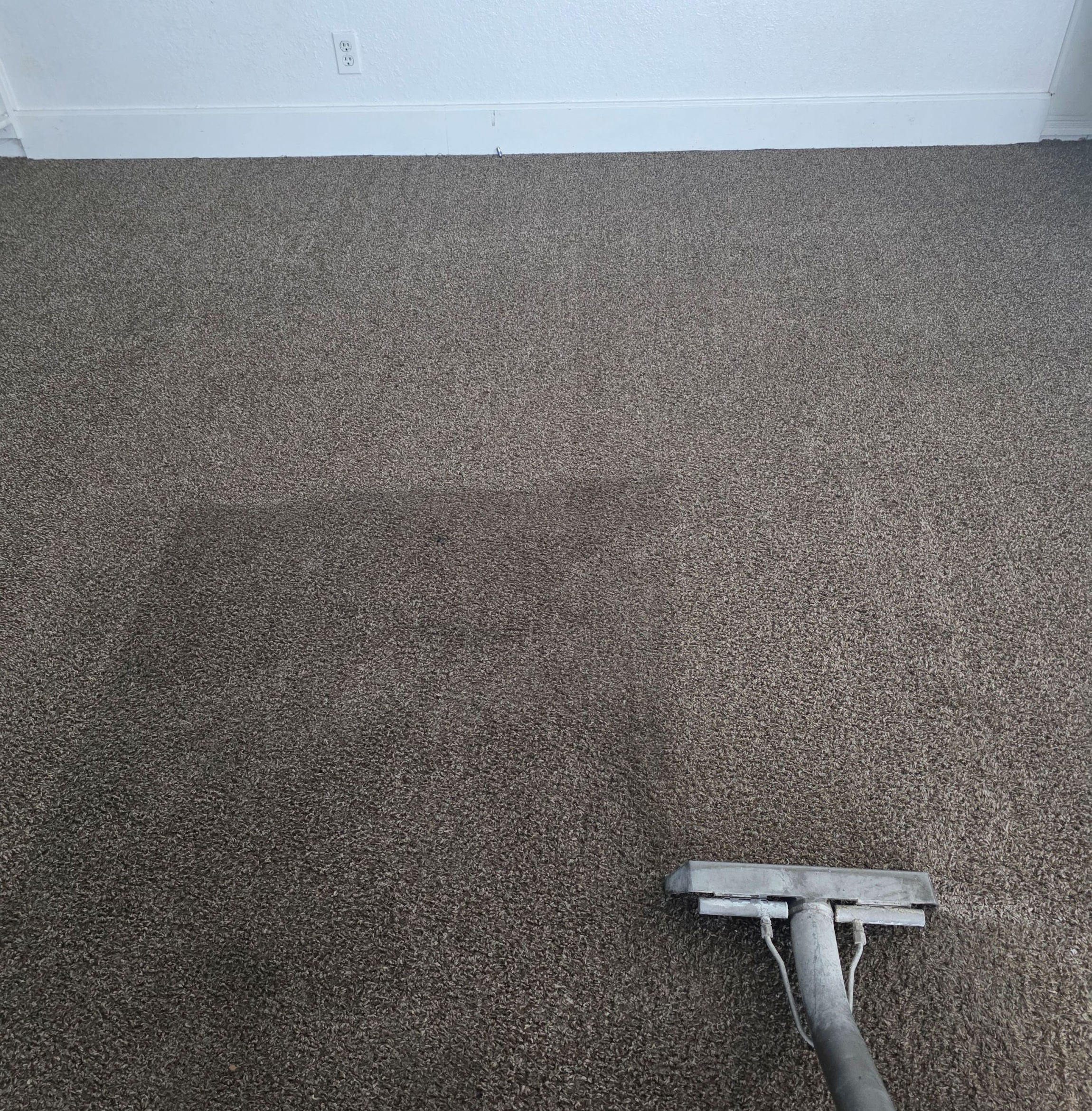 Carpet Cleaning