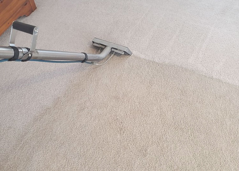 Carpet Cleaning